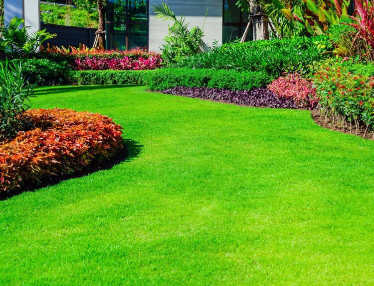 Greener Grass Landscaping